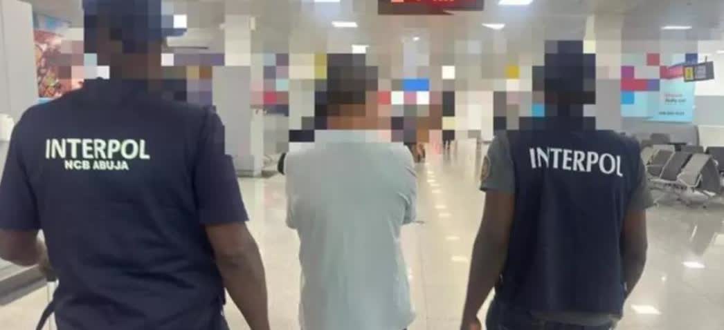 中国一名黑帮逃犯被遣返回国。

当地时间24日，尼日利亚对外证实称，在国际刑