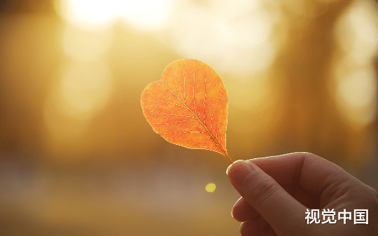 男友为救白月光抢我心脏，我死后，他却把刀尖对准自己的心脏