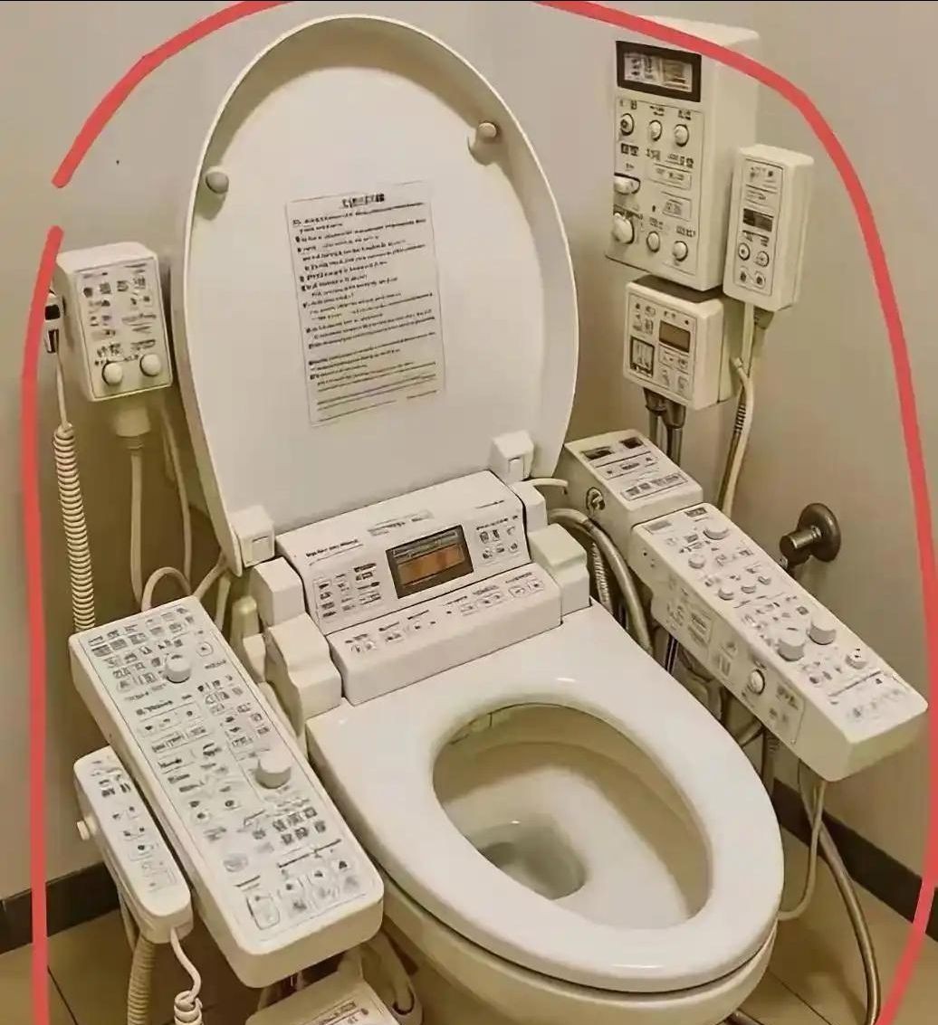 这马桶也太新奇了。你们有人见过吗？