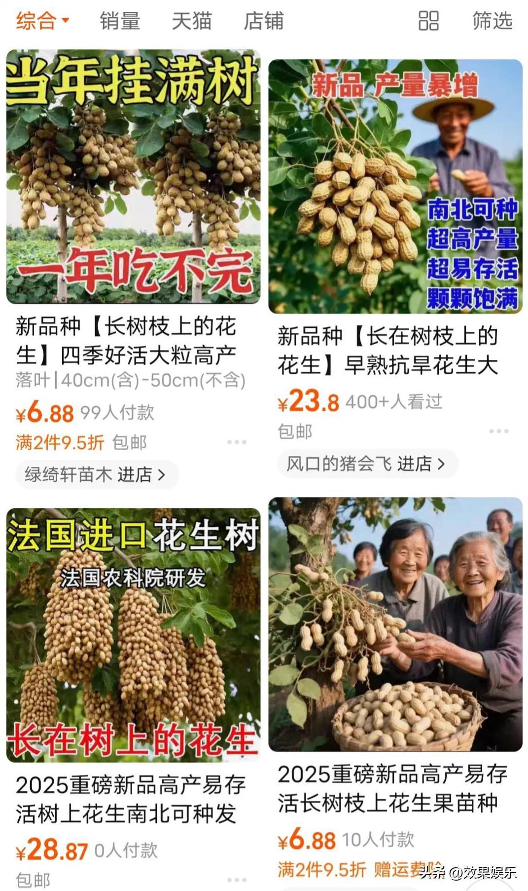 在某平台上，有几家店铺都在销售的一种名为“长在树枝上的花生”的新品种植物及其相关