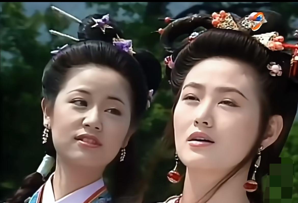 以前湾湾古装剧里的 丫鬟都是精挑细选出来的吧？主要以前是大小姐也好看，现在的大小