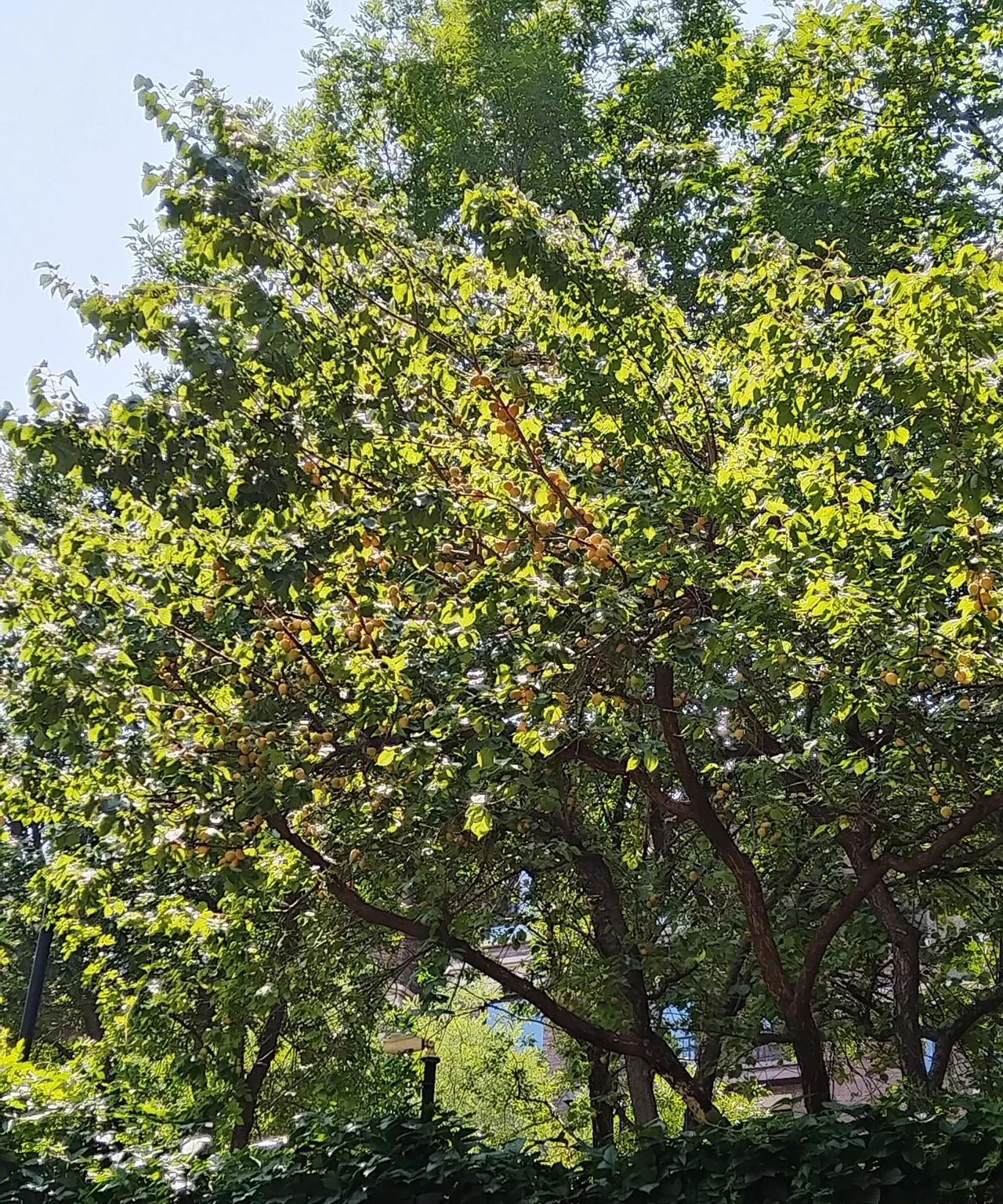 #分享一张你相册里的天空风景照#