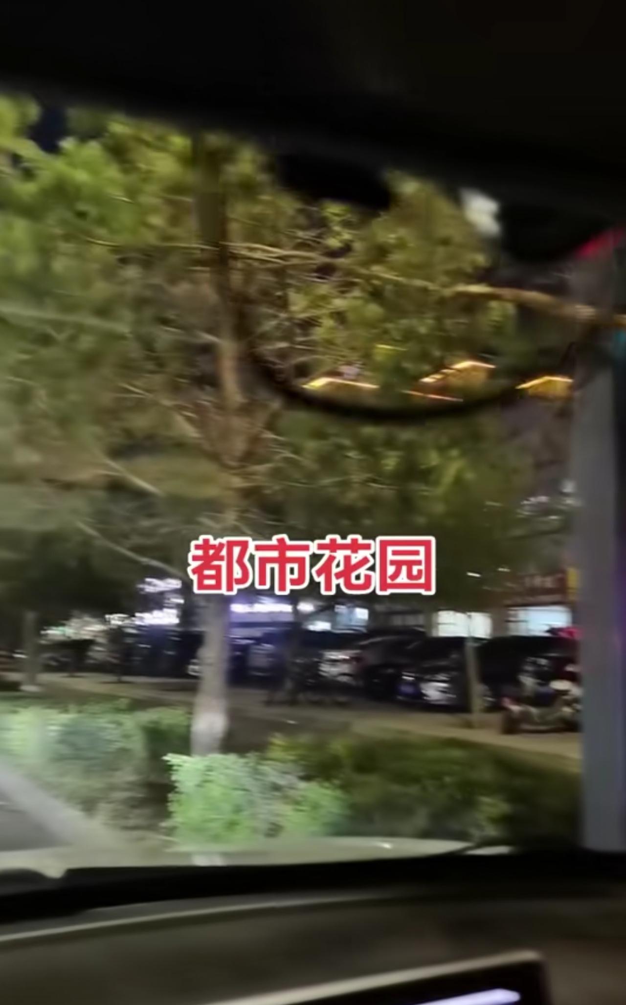 大家发现没？抖音现在又出来一批送“特效药〞的人，一到晚上，这批人活跃的很，奔走在