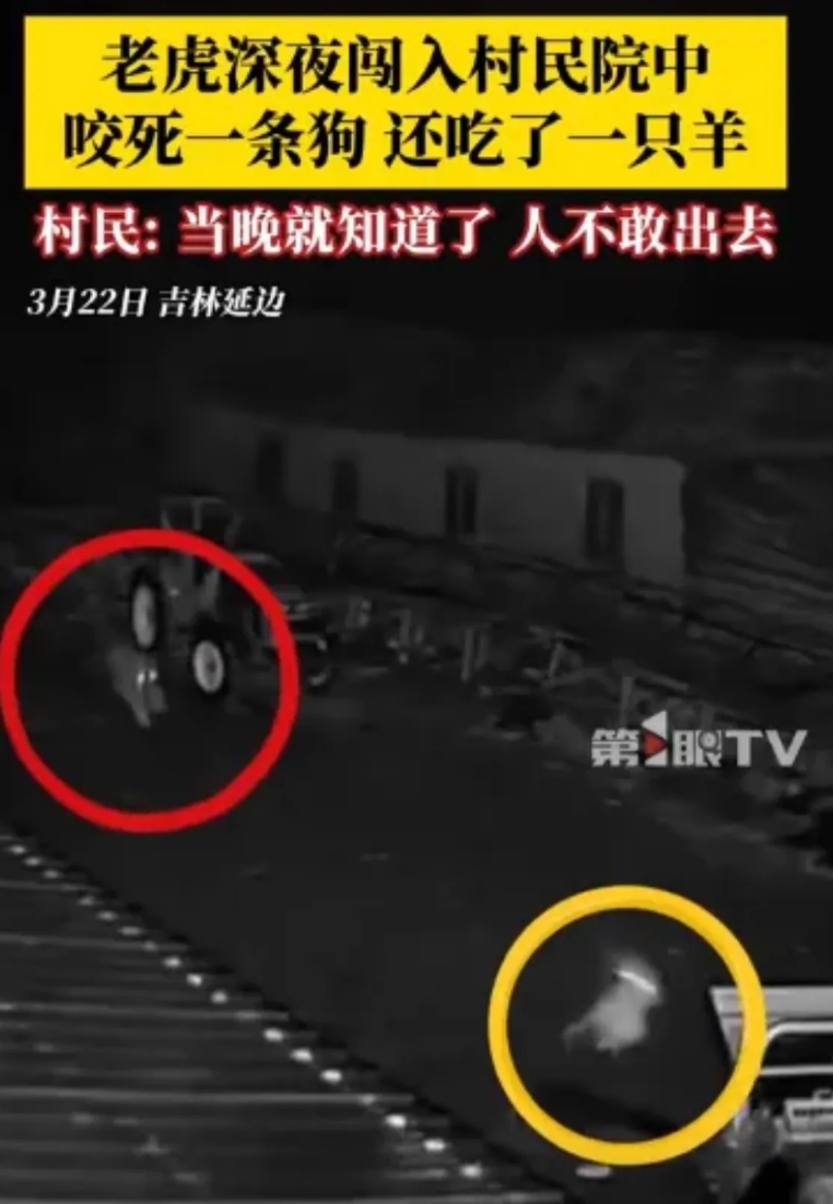 “最绝望的死法！”3月22日，吉林延边，一村民晚上准备睡觉，忽然听到院外传来几声