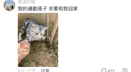 它好像不愿意阿