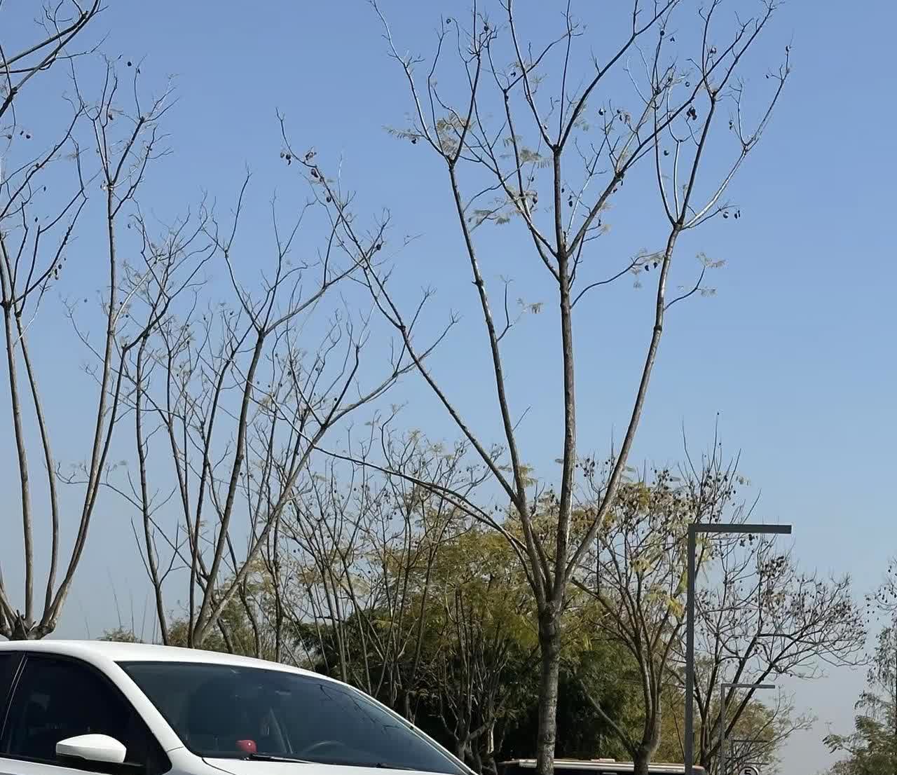 车子不贵，但我很满足，一万的小polo也不错，一个月油费两百好开又好停，没必要为