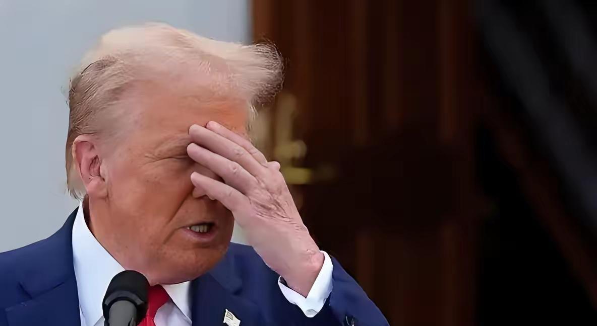 鹰酱：龙哥，你到底想干嘛？
龙国：我怎么了？
鹰酱：你看你们家整出这些玩意，是不
