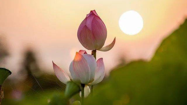 一个真相：困住你的，其实是你这一身的“臭皮囊”