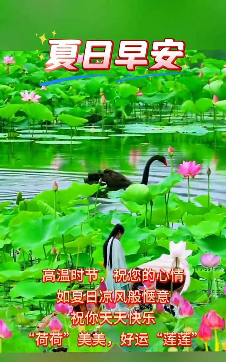 夏日早安。
高温时节，祝您的心情如夏日凉风般惬意。祝你天天快乐，