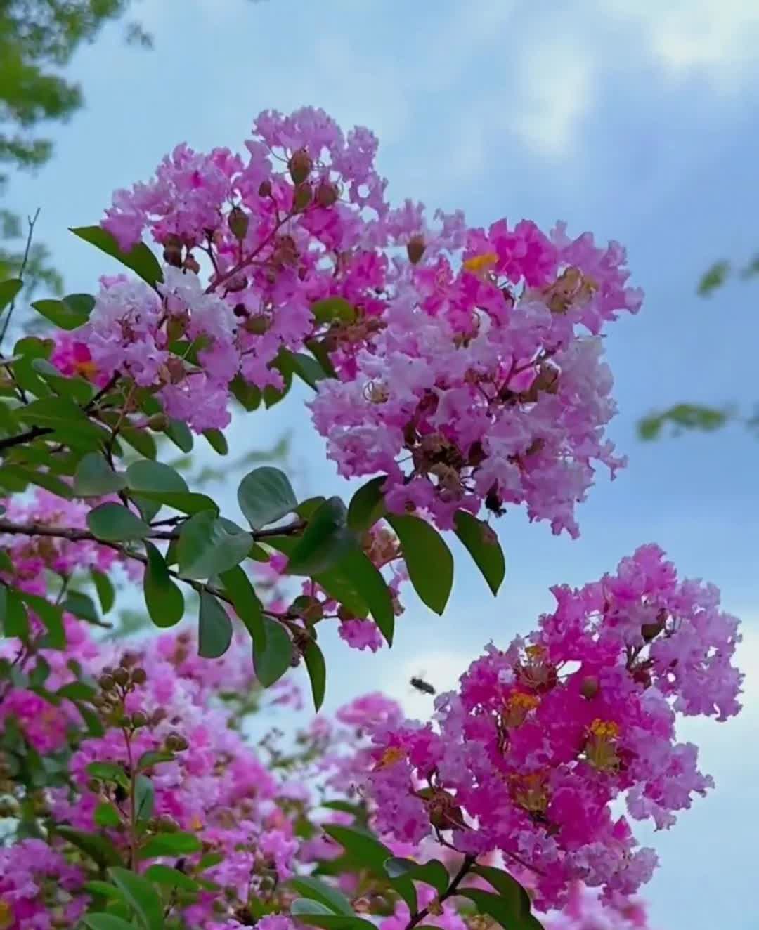 然而，若年轻人本身身体不适，或是工作疲惫不堪，也不应被道德绑架。我们倡导让座，是