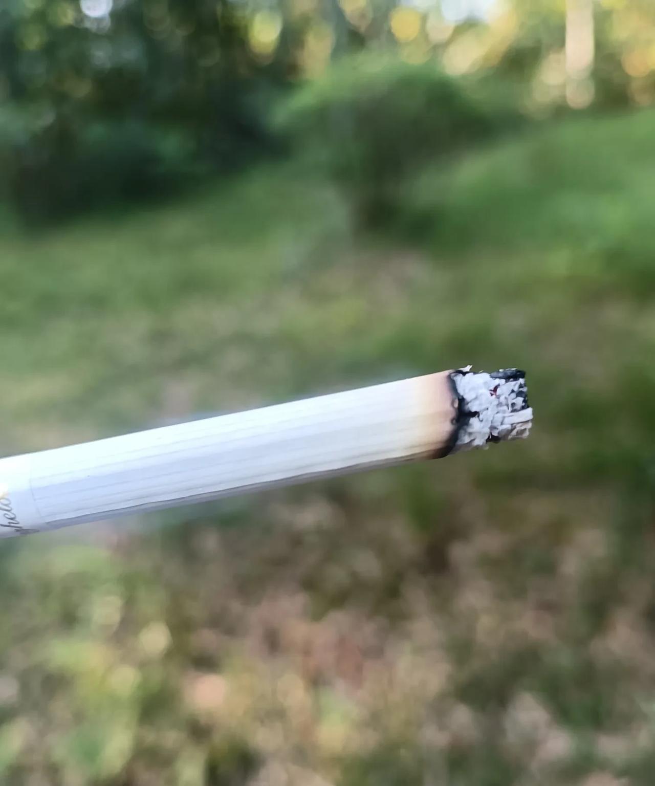 森林里边抽烟，
吓了我一大跳！
昨天，环林中栈道走路锻炼，
一个人走着无聊，
便
