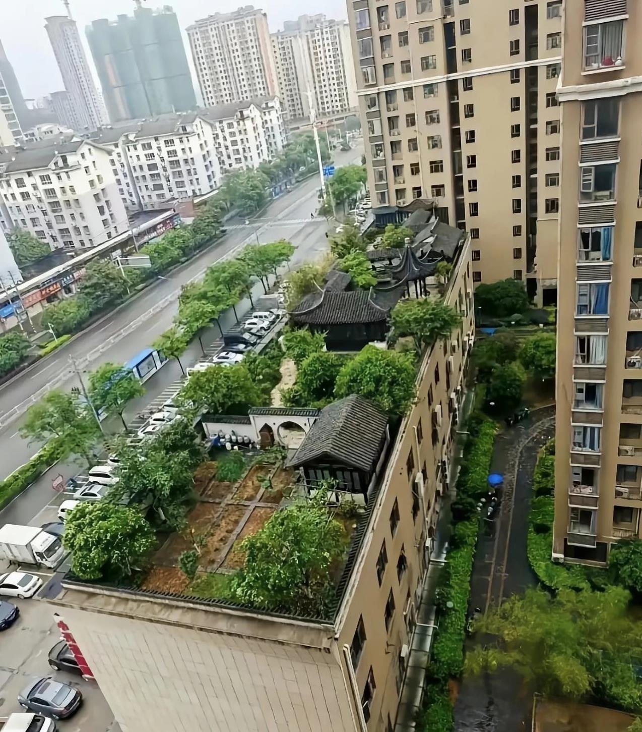 繁华喧嚣的大城市里，还有这样的世外桃源，不但有亭台楼阁，也有果树成荫，俨然一幅与