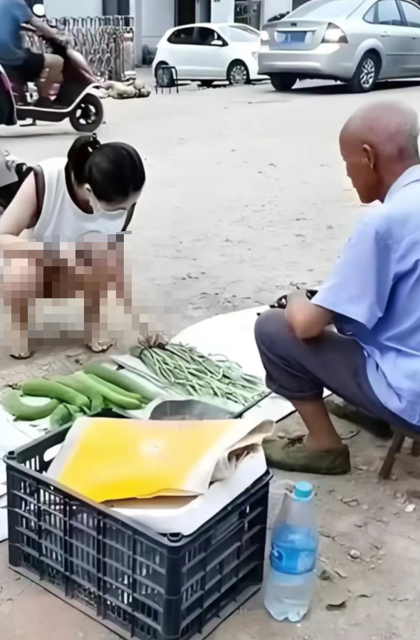 真佩服大爷的勇气，为了生活，不仅要早起摆摊卖蔬菜，既要经受风吹日晒雨淋的
摧残，