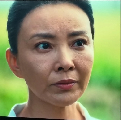 二十年前的征服没人看过吗？？？孙红雷演黑社会大哥的那个！这可是大哥的女人~梅子啊
