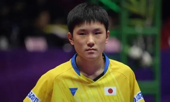 本本又回家了！感觉张本智和好像就打国乒选手的时候发挥的实力够强！可能天天在研究吧