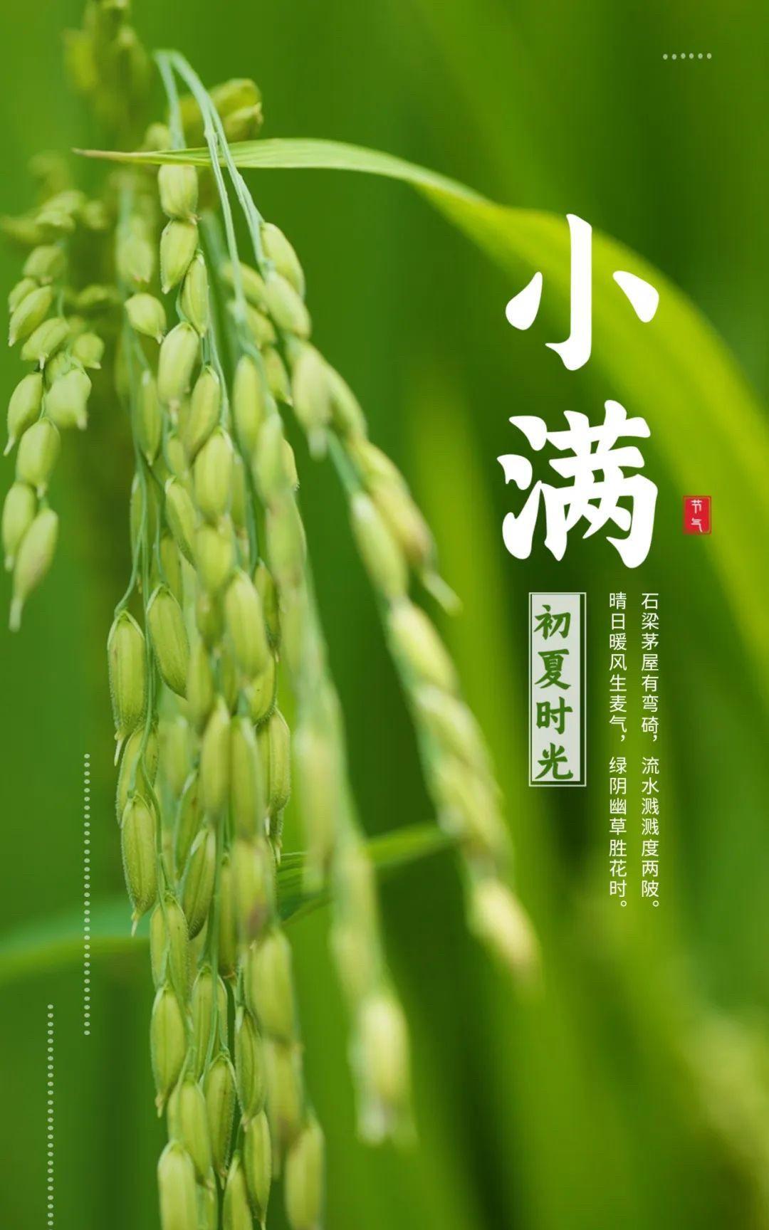#迎端午粽香纳福#戳这里，一起领红包>花未全开月未圆，人生最好是小满，往后