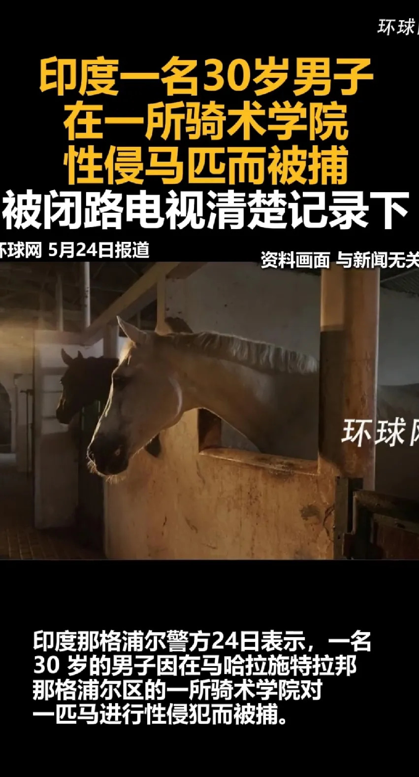 印度男子性侵马匹被抓











简直是炸裂！一个30岁的印度男人，竟