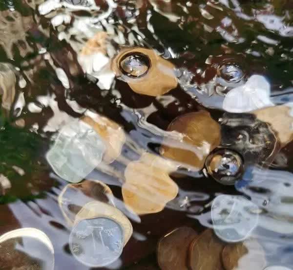 6月12日，深圳宝安区新安街道附近河道惊现大量钞票，被一男子捡走。视频显示，桥下