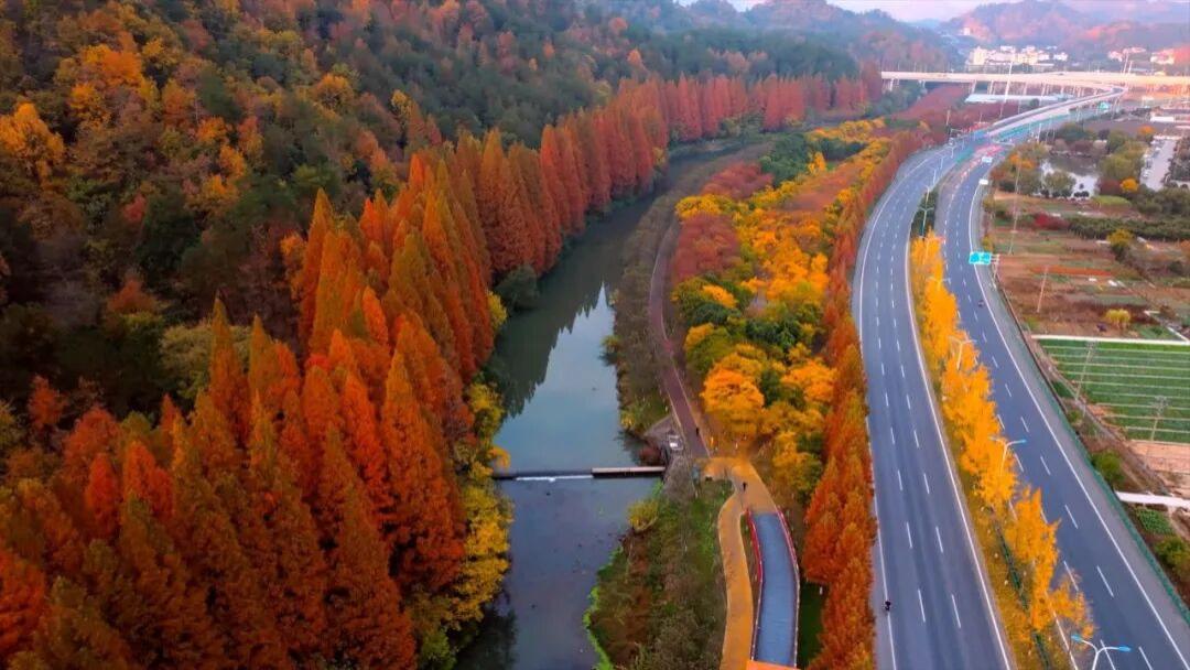 望乡｜探寻浦江冬日秘境