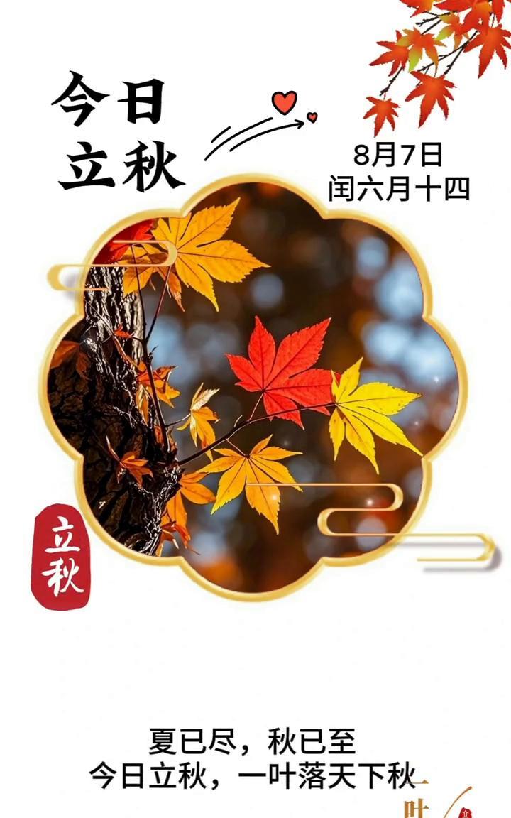 今日立秋。
8月7日，闰六月十四。夏已尽，秋已至。今日立秋，一叶落天下秋。一个转