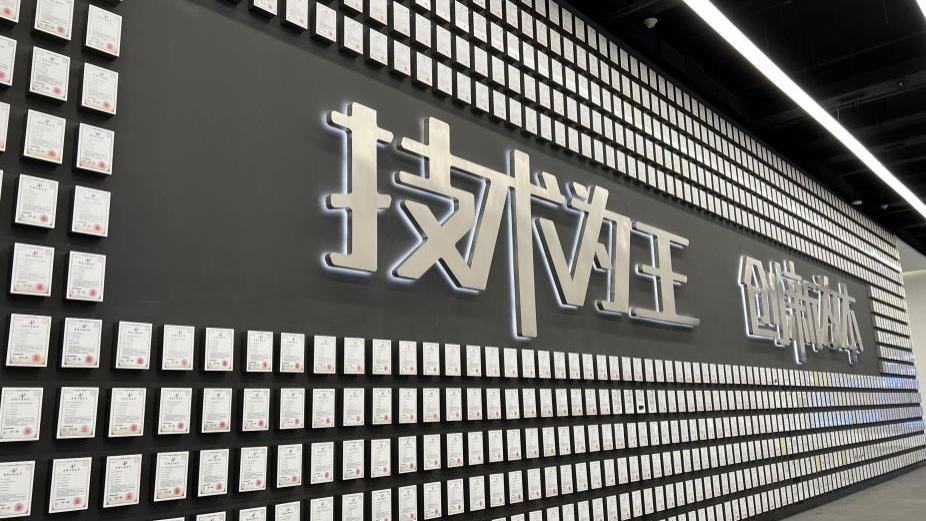 从垂直整合到开放共享，比亚迪引领全球新能源产业升级