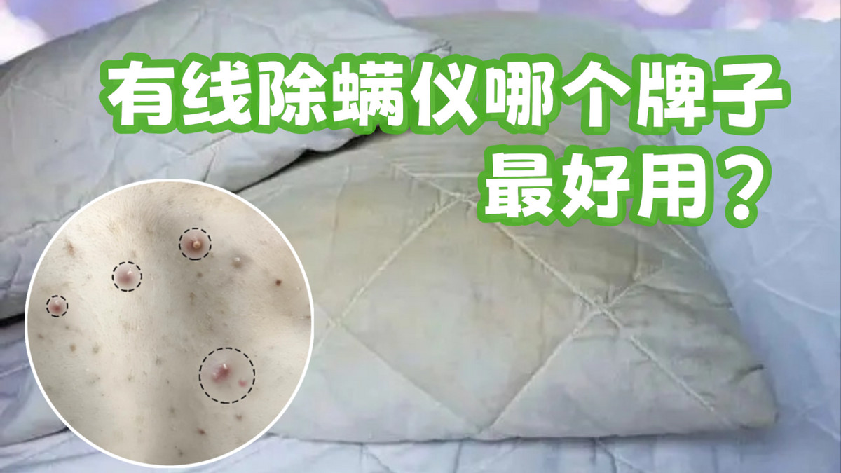 有线除螨仪哪个牌子最好用？2026年十大热销除螨仪口碑榜推荐揭秘！