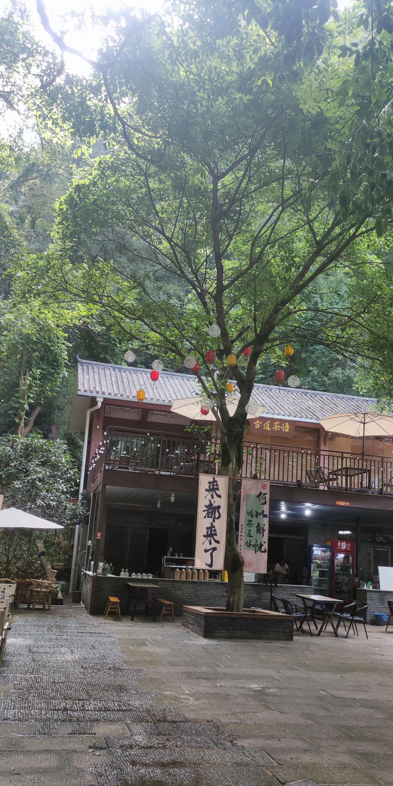 网上的段子表明，人的一生还是得勤奋，毕竟努力才有回报。
打工到最后可能两手空空，