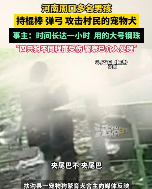 “娘胎里带出来的坏！”河南周口，一处几乎没人来的荒山上，女子为了不扰民选择在这里