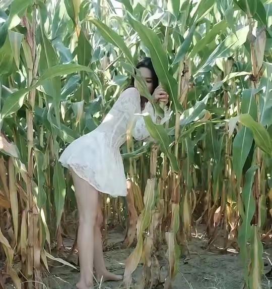 这么多蚊子
穿个短裙还来偷玉米
可算逮住了
长这么漂亮
这也不忍心说她吧[捂脸]