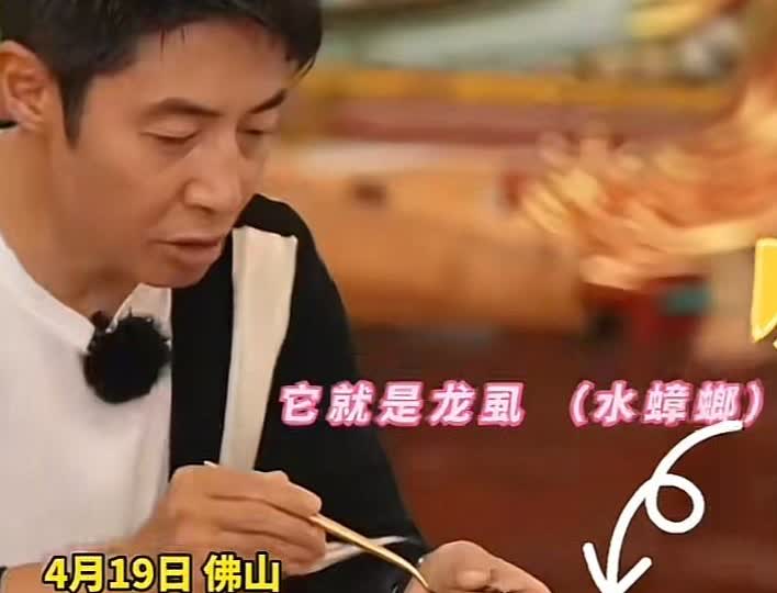撒贝宁的幽默风趣不是装出来的，在佛山体验了人生第一次吃“水蟑螂”，把他急得广东话