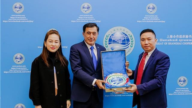 广东服装巨头倒了！财务造假7年，套现10亿，国资无奈接盘
