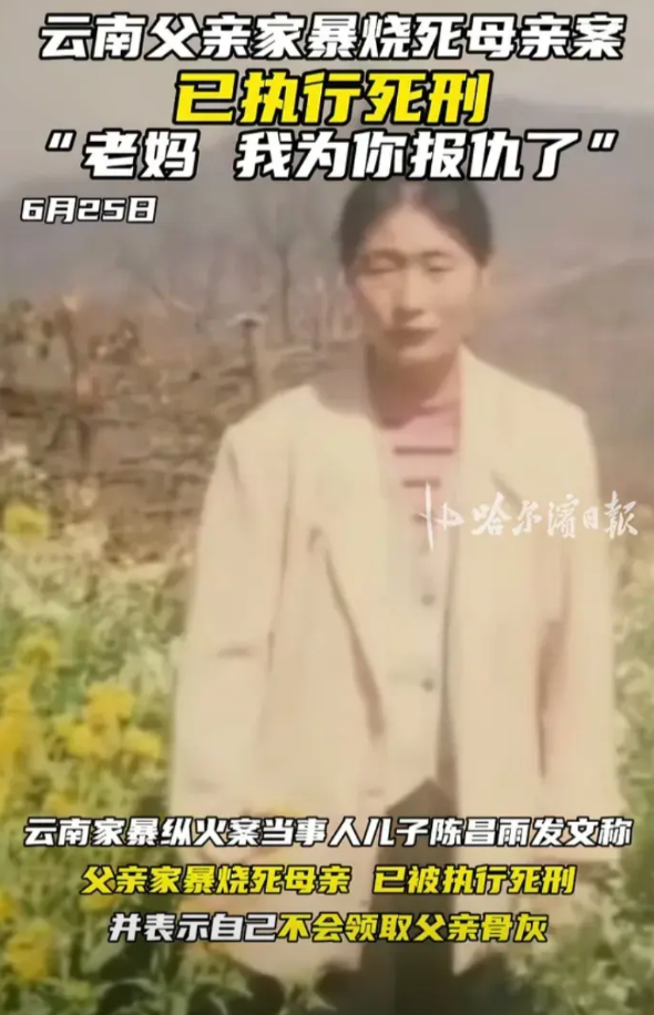 “妈，我给你报仇了。”云南，因为家庭矛盾，父亲当街往母亲身上泼汽油点火，造成母亲