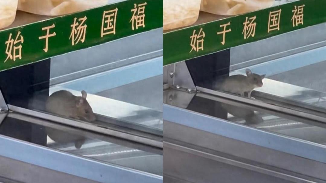 麻辣烫惊现鼠影：杨国福的食安危机与行业信任崩塌