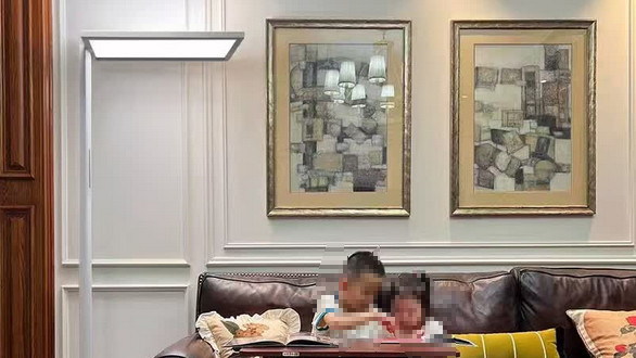 大路灯卖5000多，为什么那么贵？哪个牌子更值得购买？