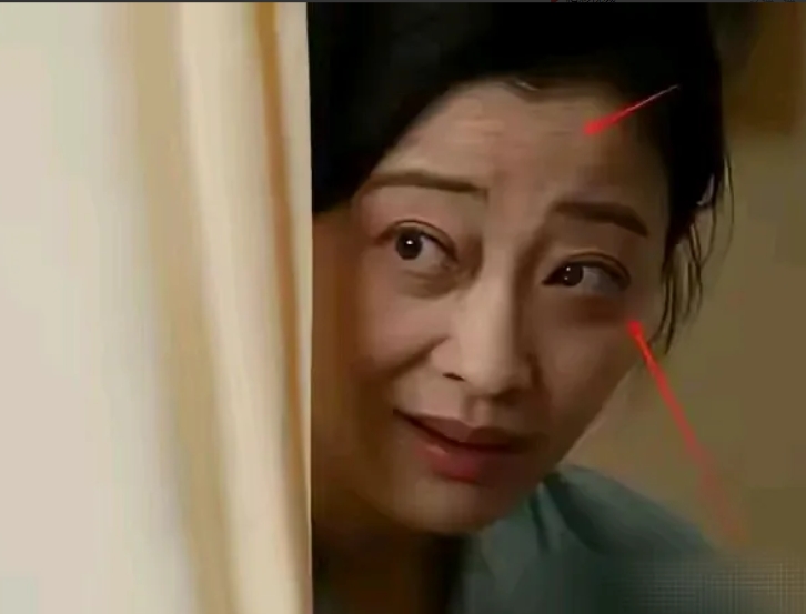 两部戏梅婷被推上风口浪尖！

梅婷最近主演了两部电视剧，《六姊妹》《我的后半生》