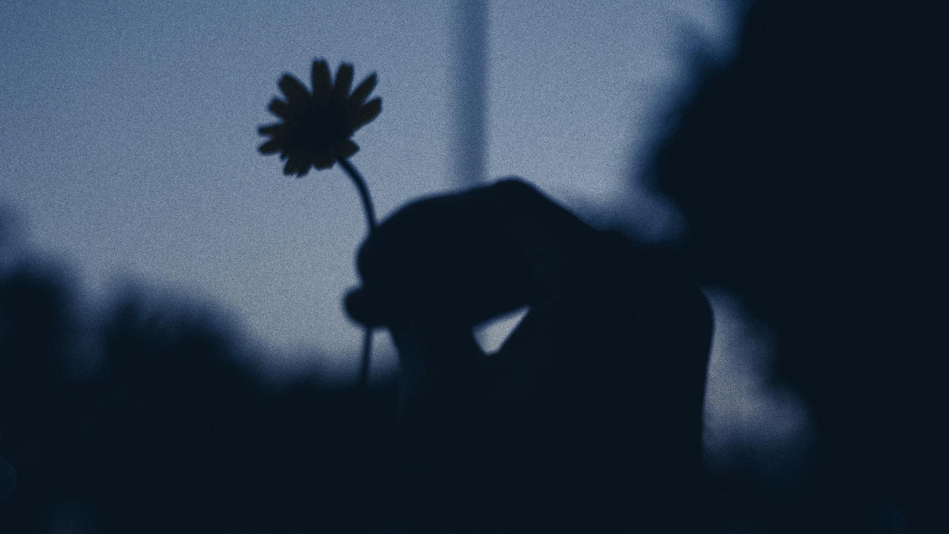 天蝎月丨直面恐惧，看清真相，节制欲望！