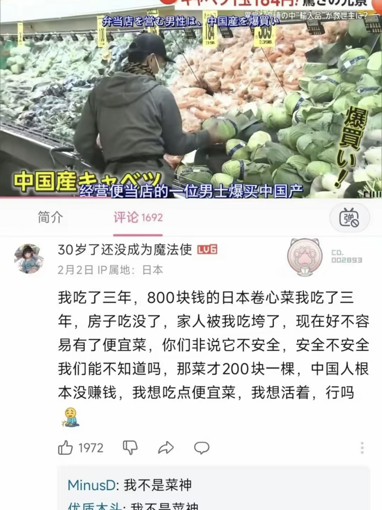 日本连卷心菜都吃不起了？