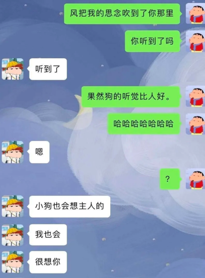 小狗也会想主人的