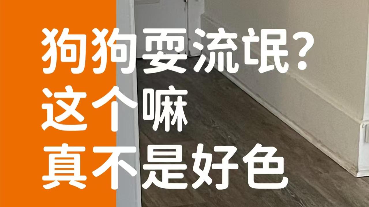 象乡宠物食品 |  狗狗耍流氓? 这个嘛真不是好色