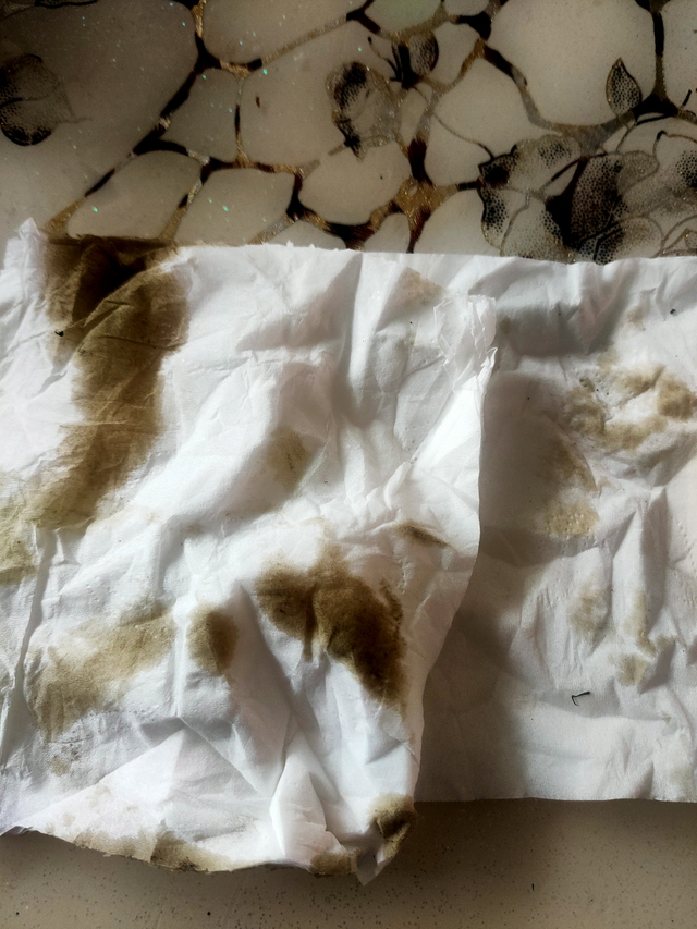 刚提车3个月迈腾330豪华
晚上停的时候发动机下方没有这东西。第二天开车4公里上