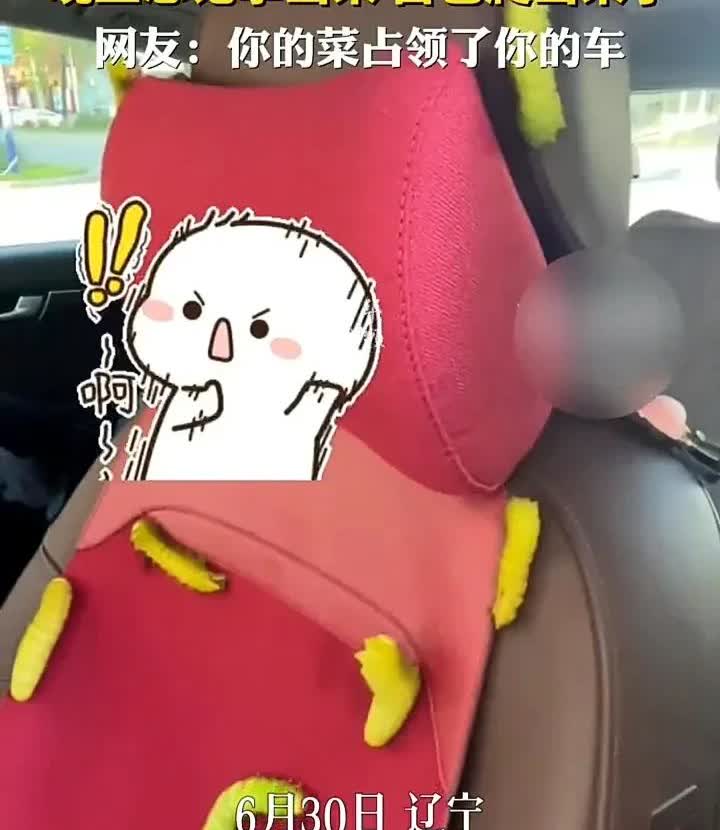 笑不活了！6月30日，辽宁一名男子发视频称，自己去菜市场买了一袋柞蚕，准备拿回家