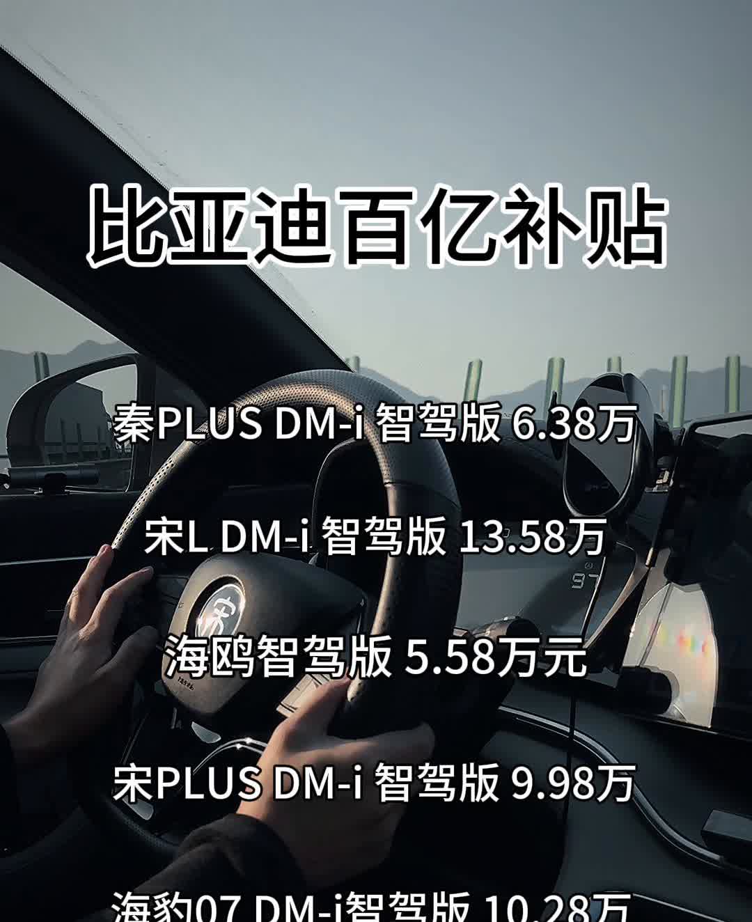 比亚迪百亿补贴。
秦PLUS DM-i智驾版6.38万，宋LDM-i智驾版13