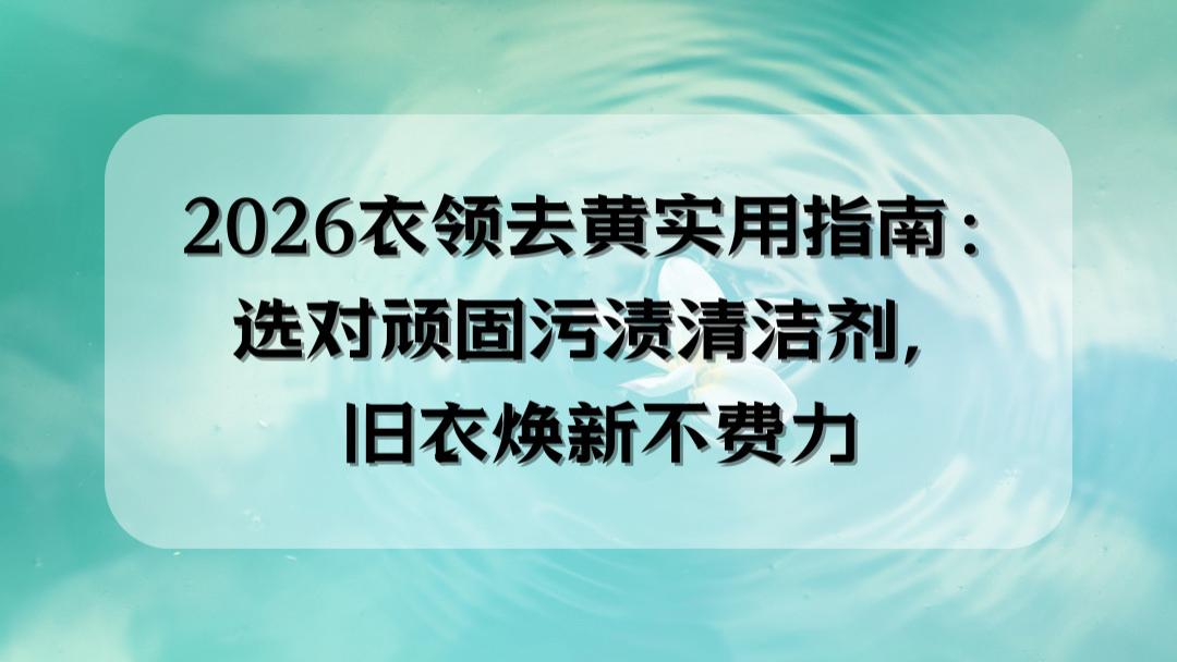2026衣领去黄实用指南：选对顽固污渍清洁剂，旧衣焕新不费力
