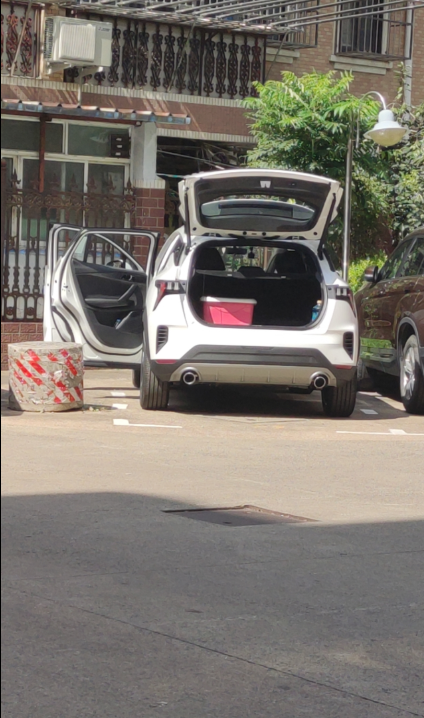 终于提车2306劲PRO11天用车感受
目前行驶第11天，中间几天他在晒太阳(祛