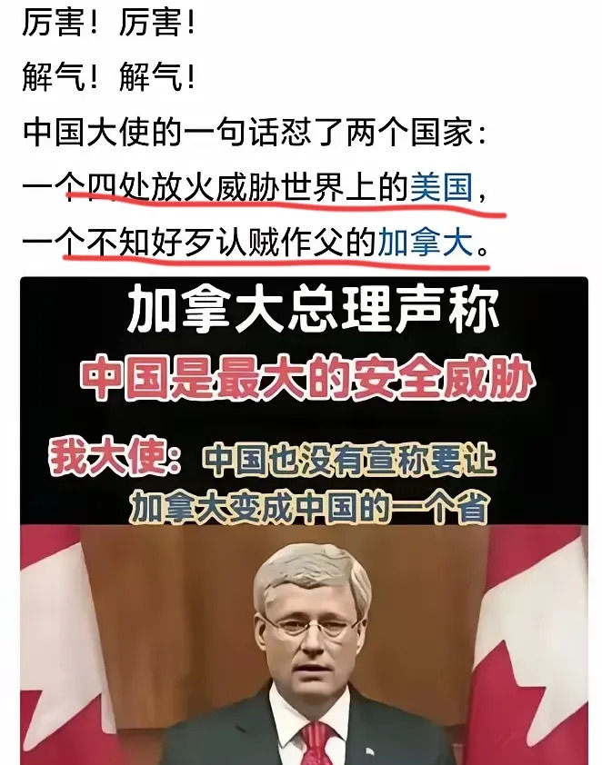 加拿大说中国是威胁，大使回应让人发笑











---





