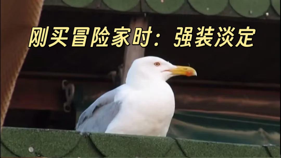 冒险家你这么多功能居然全系标配，鹅真的绷不住了！