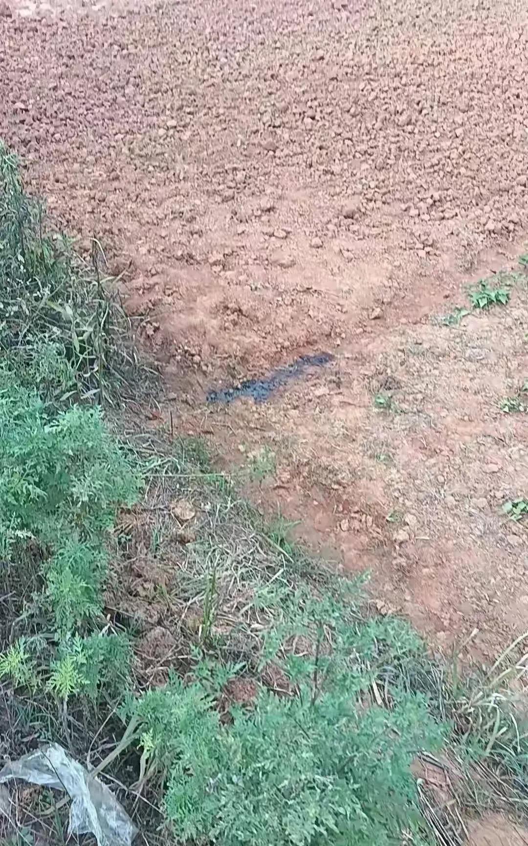 在工地草丛中拉个稀也领了一个无妄之灾，这老哥死得憋屈？
这俩二货用的汽枪的威力不