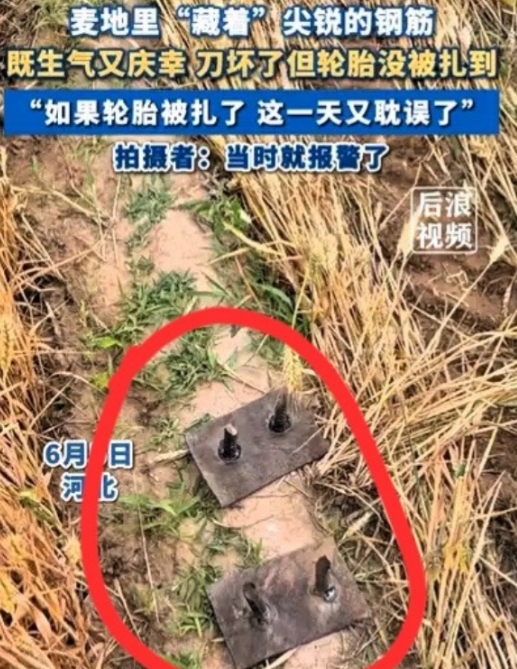 河北女子收割麦子时发现麦田里有两根新焊的钢筋，担心扎坏收割机轮胎，于是拨打了报警
