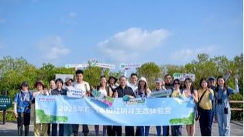 千亩红树林筑起生态屏障，广汽本田践行坚实守护