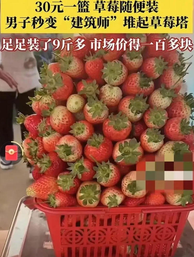 河南一对夫妻去草莓园摘草莓，园主规定：30元一篮，只要装在篮子里的都算。谁料，当